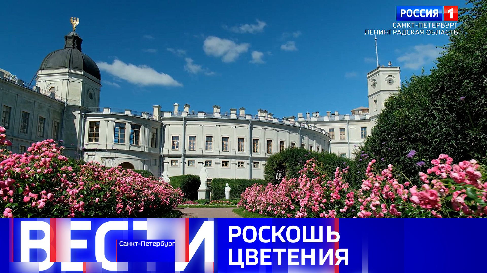 Вести Санкт-Петербург. Выпуск 09.30 от 17.07.2026 смотреть онлайн