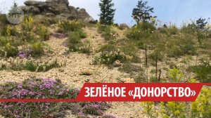 Растительность вытоптали туристы и коровы на мысе Бурхан на Ольхоне