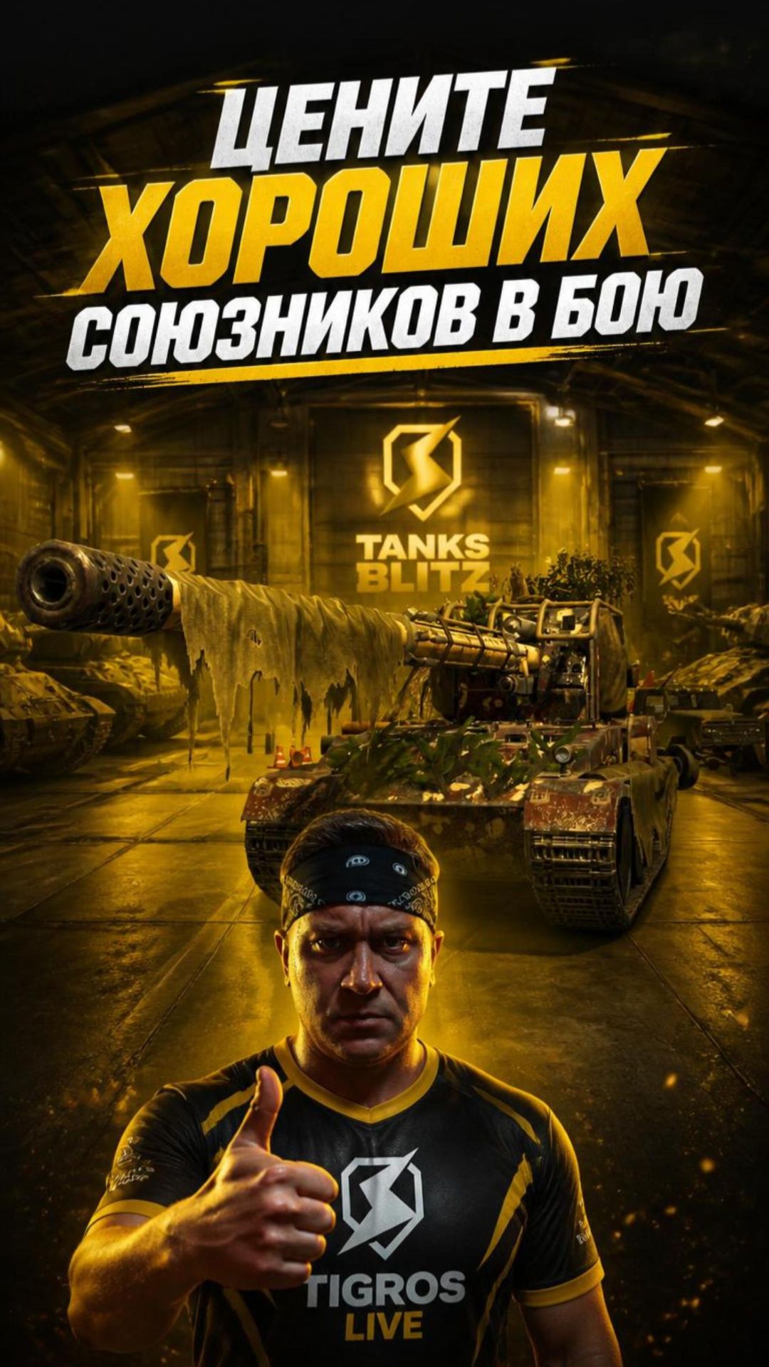 Хорошие союзники залог победы! Tanks Blitz