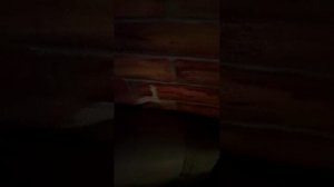 17-07-2026