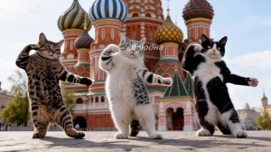 Прикольные коты танцуют