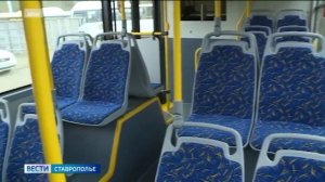 В Ставрополе на маршруты выйдут еще более 50 современных автобусов