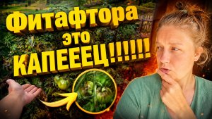 ФИТОФТОРА ЭТО КАПЕЕЕЦ | Новые саженцы УРААА | Деревенские хлопоты