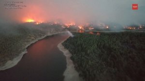 В Испании бушует сильный лесной пожар.

Пламя охватило уже больше двенадцати тысяч гектаров,