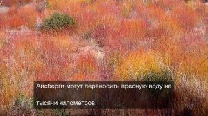 «Картинки, которые хочется распечатать и повесить на стену»
