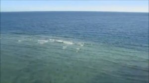 🌊🌊🌊💞Волшебная мелодия океана🌊🌊🌊