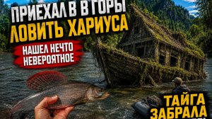 Приехал в горы ловить хариуса. Тайга скрывала нечто невероятное.