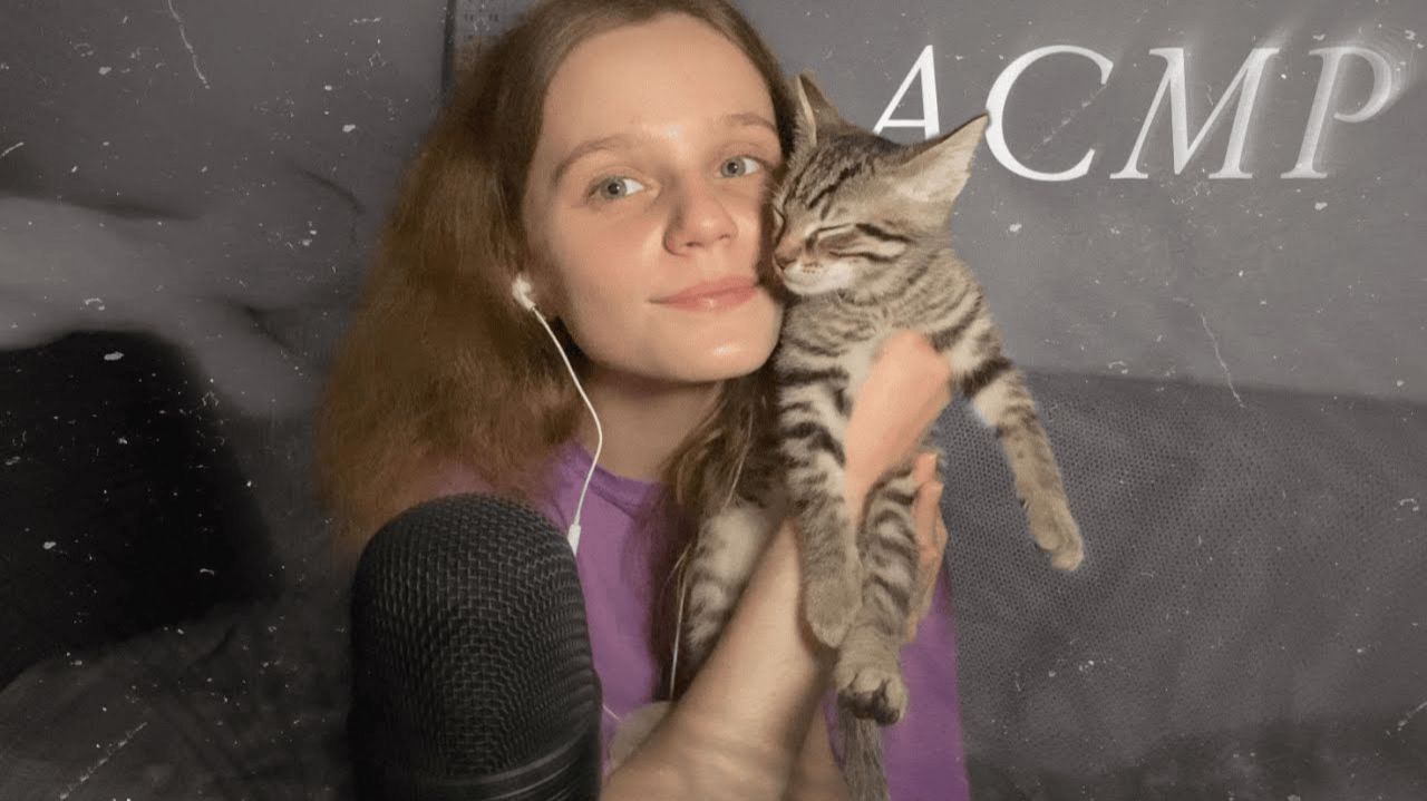 АСМР с Котенком 🐈 5 минут мурчания | ASMR with kitten 🤍 смотреть онлайн