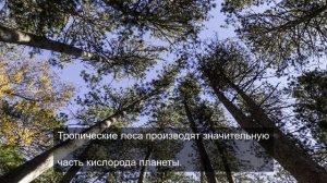 Сюрреализм наяву: Картинки, которые ломают реальность