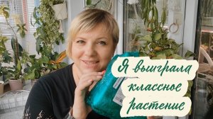 Я выиграла классное растение. Распаковка