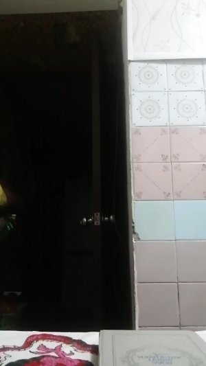 Всякое разное