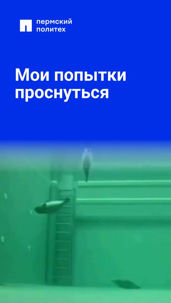 Мои попытки проснуться