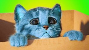 Приключение милого котенка и м