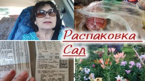 Распаковка. Конкуренция за жилье на даче.