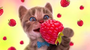 Развивающие игры Little Kitten