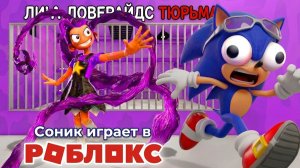 Соник играет в Побег из тюрьмы Лили Лавбрэйдз в Роблокс