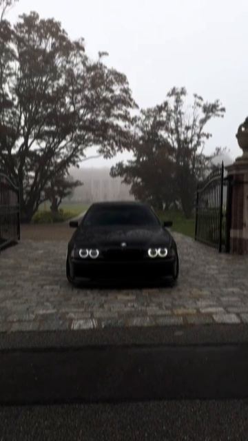 эдит(делал сам)