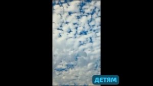 👨👩👧👦Деткам. Любите животных ! Цените их жизнь, как свою! Не обижайте.Они вас всех очень любят