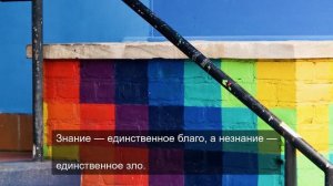 «Картинки, которые дарят спокойствие»