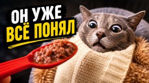 Смех до слёз: лучшие приколы №299