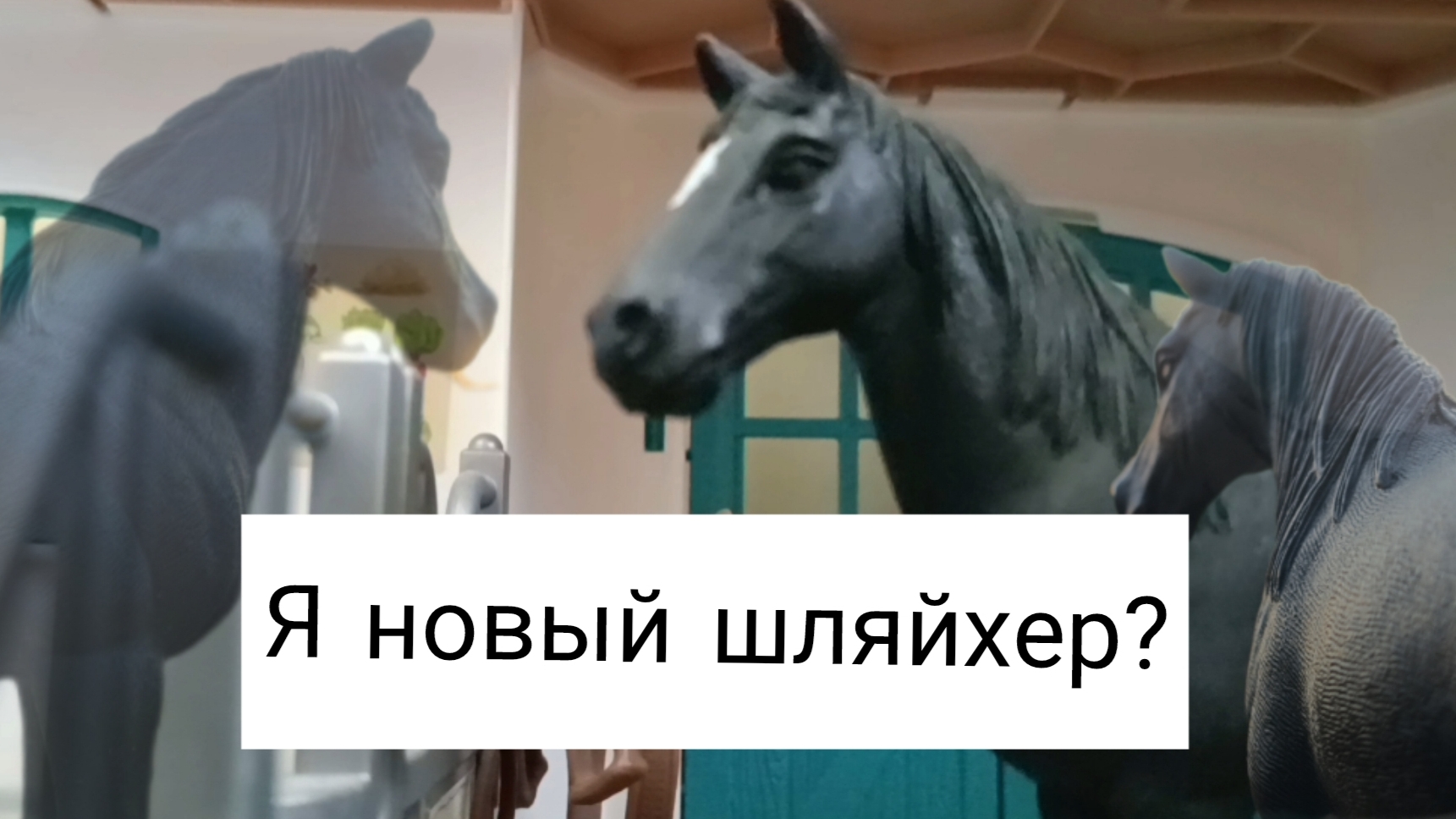 Я новый шляйхер? О KSK Silvera