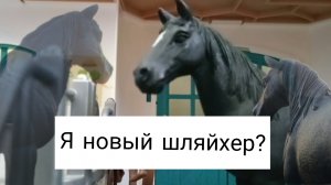 Я новый шляйхер? О KSK Silvera