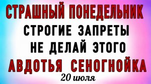 20 Июля Авдотья Синегнойка. Что нельзя делать 20 Июля Авдотья Синегнойка. Народные приметы