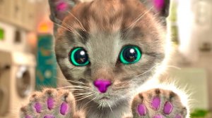 Анимация Котёнок Приключения д