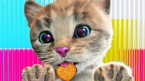 Приключения милого котенка и м