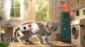 ПРИКЛЮЧЕНИЯ МАЛЕНЬКОГО КОТЕНКА