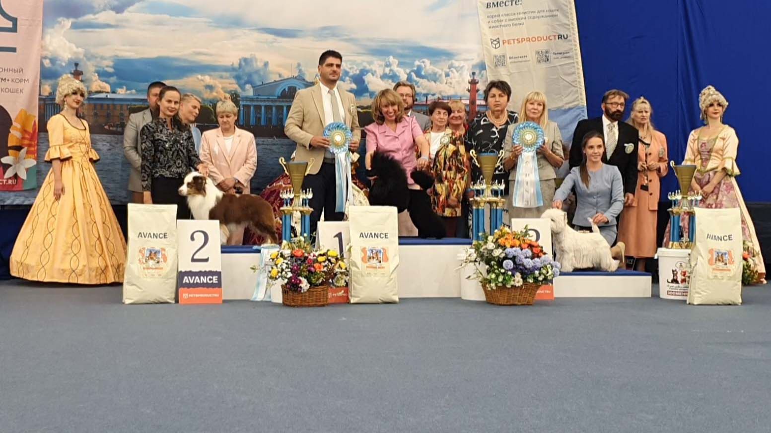 17.07.2026, СПб. Клуб "Северная Венеция" (РКФ, РФОС). Рейтинговая выставка "БАЛТИК-ШОУ" (САС, ЧРКФ) смотреть онлайн