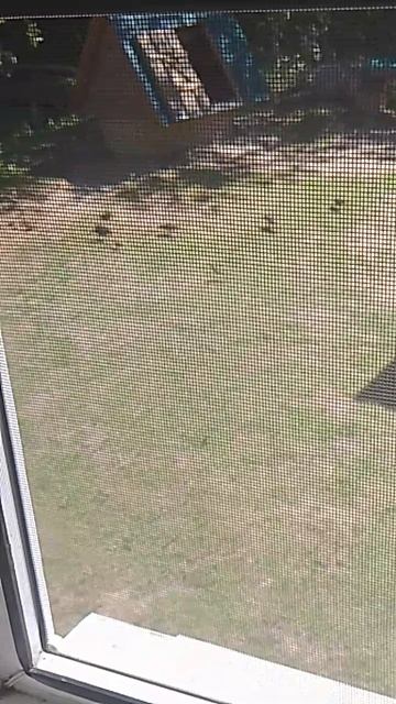 VID_20260718_132536