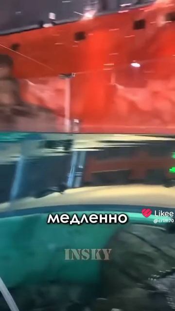 #интересно #факт