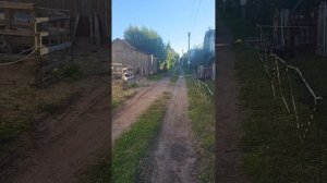 Что у соседки в огороде?//ПРОГУЛКА по СНТ
