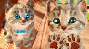 Animasyon Little Kitten дошкол