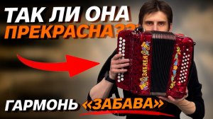 ПРЕЗЕНТАЦИЯ НОВОЙ ГАРМОНИ «ЗАБАВА» // ВЛАД ШУМКИН