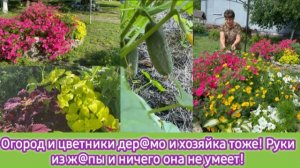 Огород и цветники дер@мо и хозяйка тоже. Руки из ж@пы и ничего не умеет, а денежек  заработать хочет