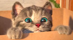 Анимация Little Kitten Prescho