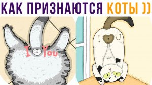 КАК КОТЫ ПРИЗНАЮТСЯ В ЛЮБВИ)) Приколы с котами