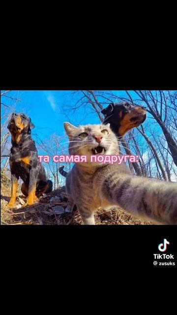 подруга котом стала🤑