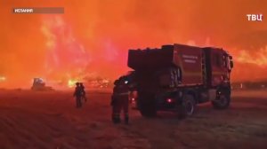 Жара в Европе привела к сильным лесным пожарам