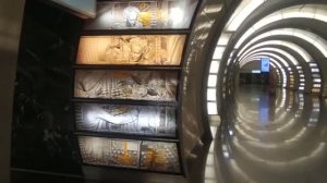 Станция метро Фонвизинская интерьер, пассажиры, поезд Москва Фрагмент 56