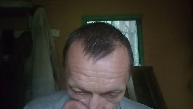 Идёт медосбор , а у нас ........ дожди , дожди и дожди не прекращаются . смотреть онлайн