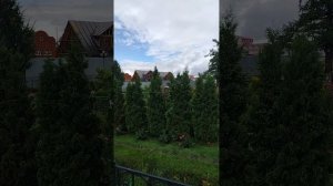 Дивеево 2026