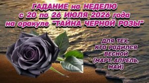 «ВАША НЕДЕЛЯ с 20 по 26 ИЮЛЯ 2026»: ГАДАНИЕ на ОРАКУЛЕ «ТАЙНА ЧЕРНОЙ РОЗЫ» для РОЖДЕННЫХ ВЕСНОЙ!!!