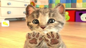Приключения маленького котенка