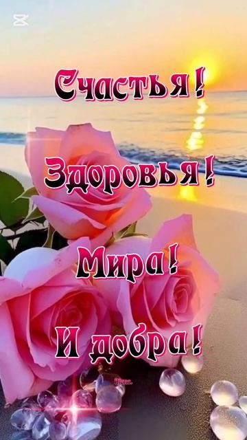 хотите видео про мой рыбинск смотреть онлайн