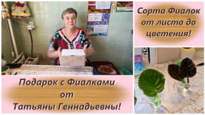 Сорта Фиалок от листа до цветения! Сезон 2026! Подарок с Фиалками от Татьяны Геннадьевны!