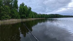 В глуши водоём! НЕ Клюёт на Обычные приманки совсем! Угадайте на что она клюёт?