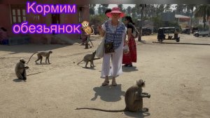 Где мы кормим обезьянок😁🐒🥰